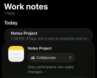 Apple Notes app sharing options.