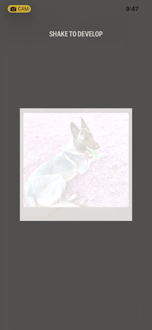 Hipstamatic shake to develop