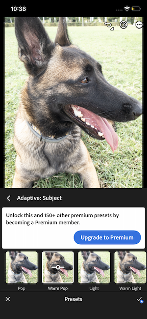 VSCO Adaptive Subject filter on an iPhone 11