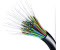 Susan Crawford on Internet Inequality