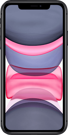 iPhone 11 256GB