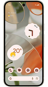 Google Pixel 9 256GB