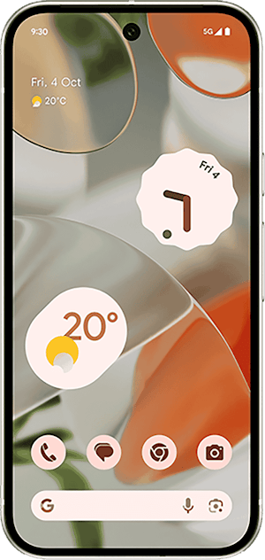 Google Pixel 9 256GB