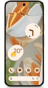 Google Pixel 9 Pro 512GB
