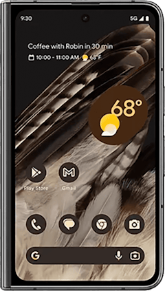 Pixel Fold 256GB
